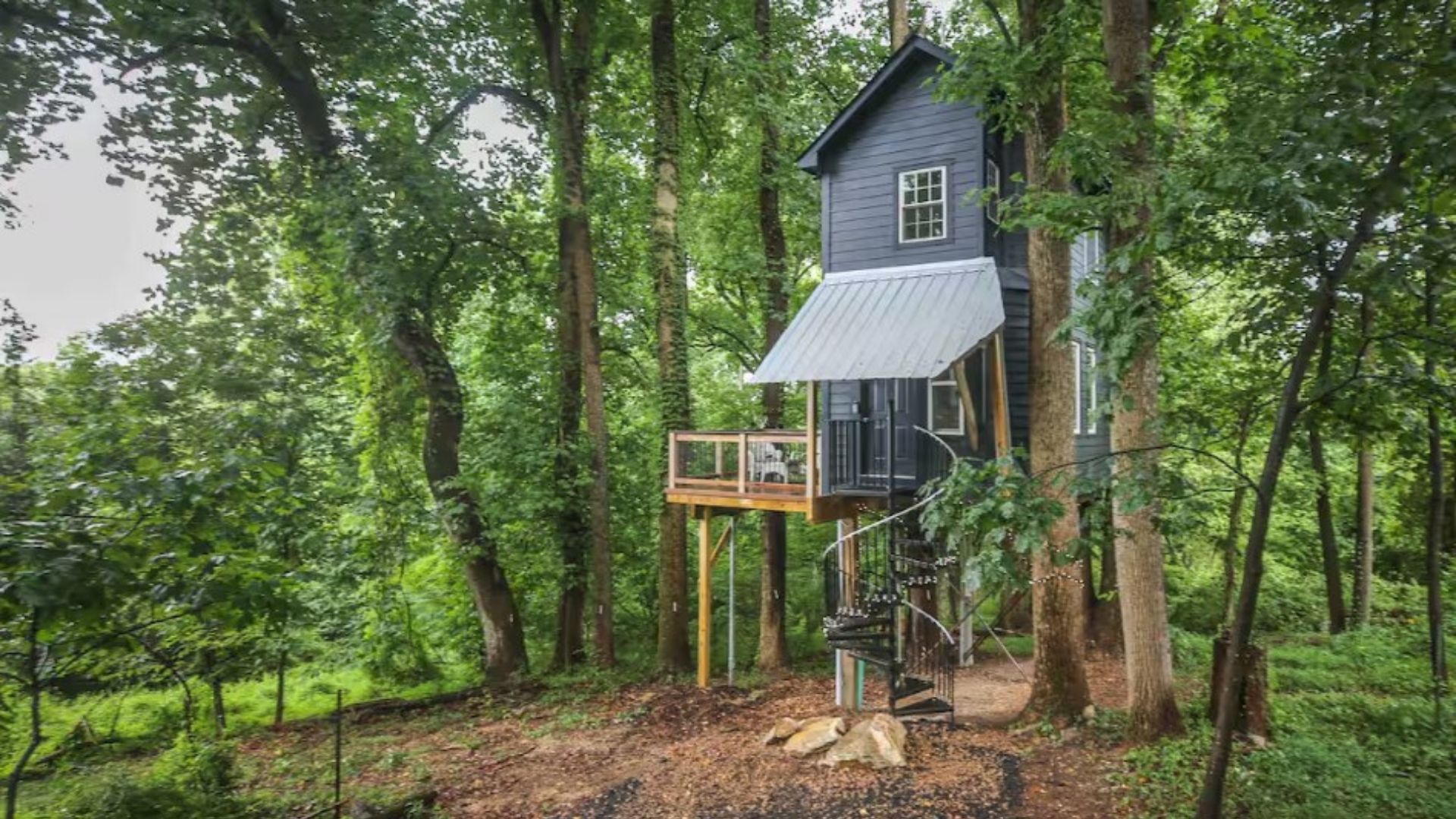 exterior of a treehouse cabin in the forest