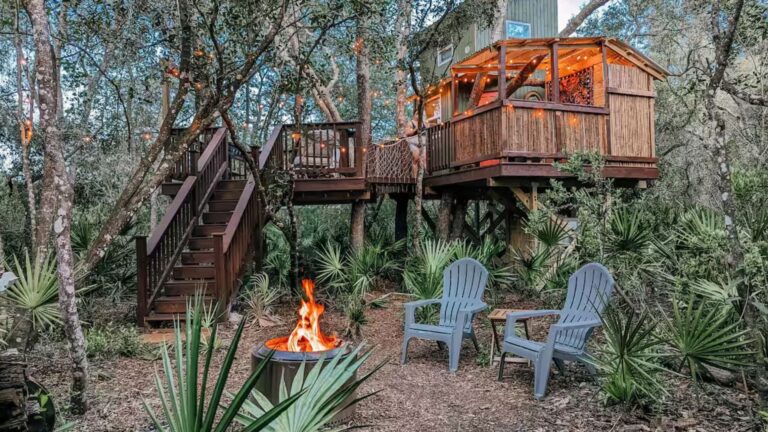 Trade City Lights For String Lights In This Magical Treehouse Escape