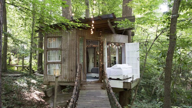 Treehouse Adventure in Atlanta