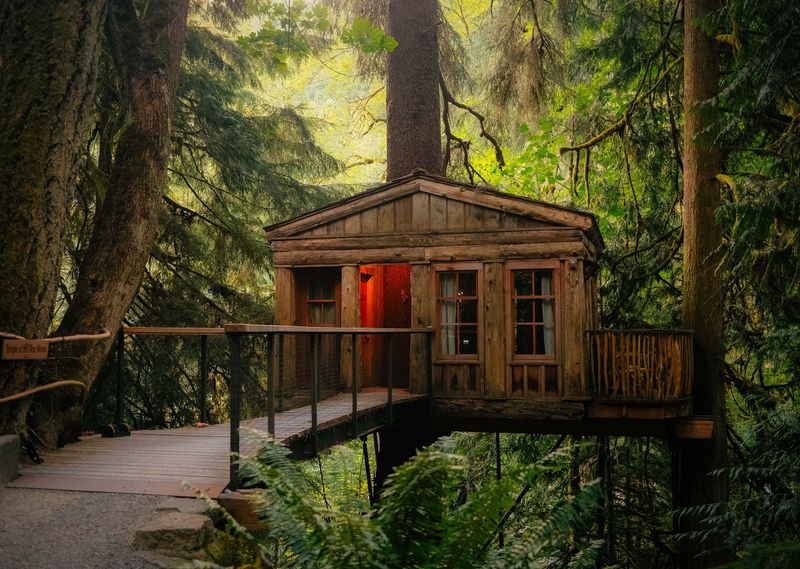 Treehouse Point, USA