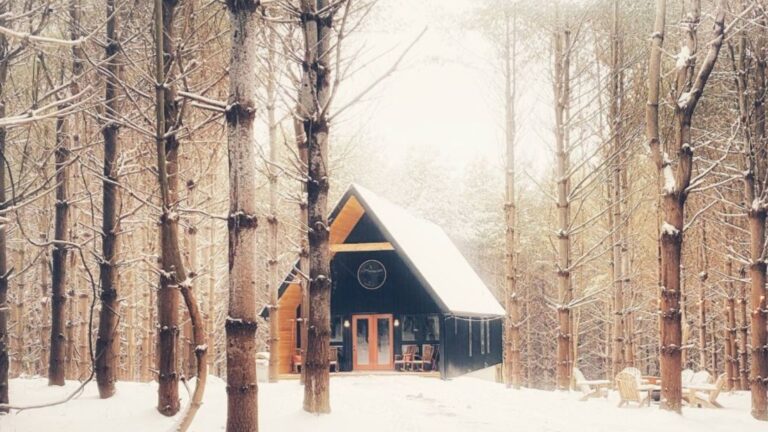 exterior of a cabin in the forest covered in snow