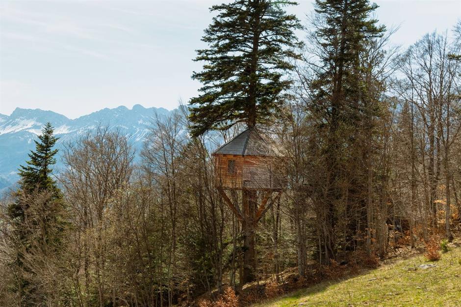 exterior of a treehouse