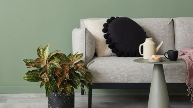 sage green wall
