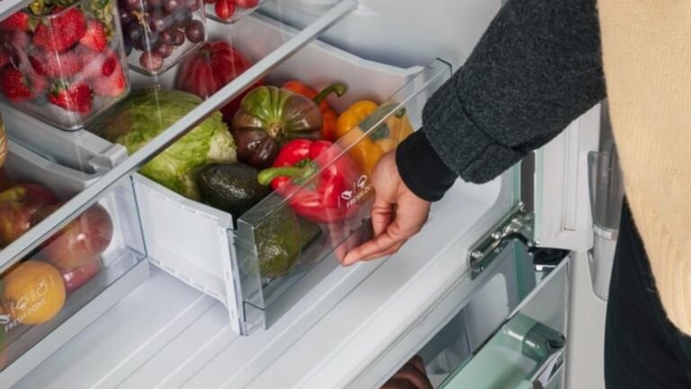 the inside of the fridge