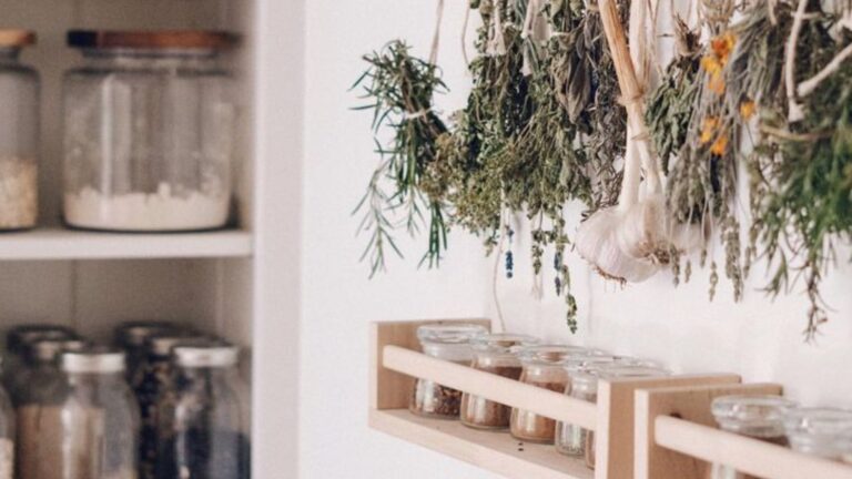 24 Things Tidy People Always Have In Their Kitchens