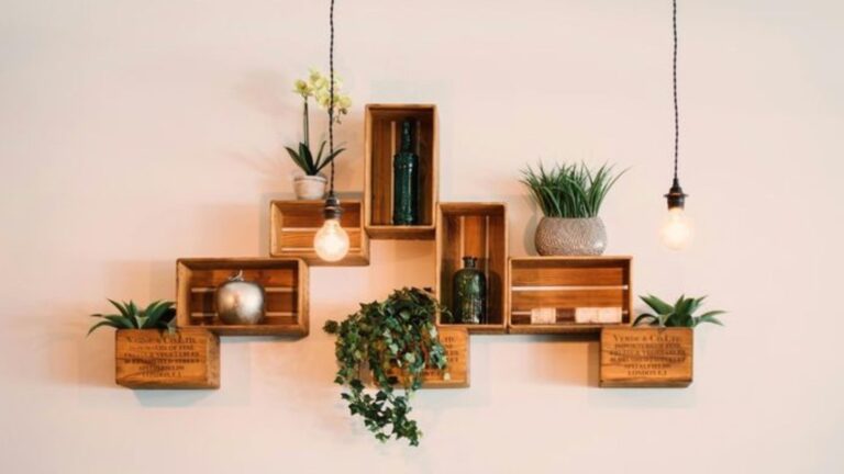 plants on floating shelves
