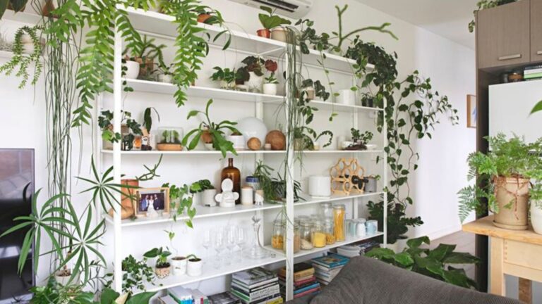 open shelf with a lot of plants