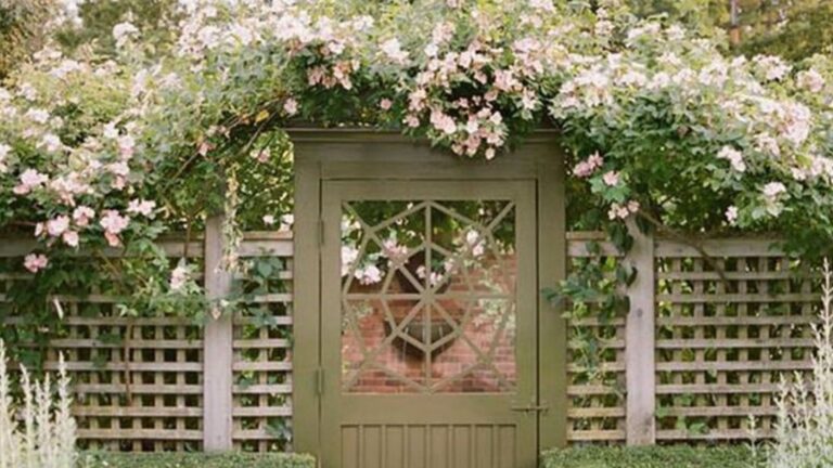 29 Common Backyard Design Mistakes, And How To Avoid Them