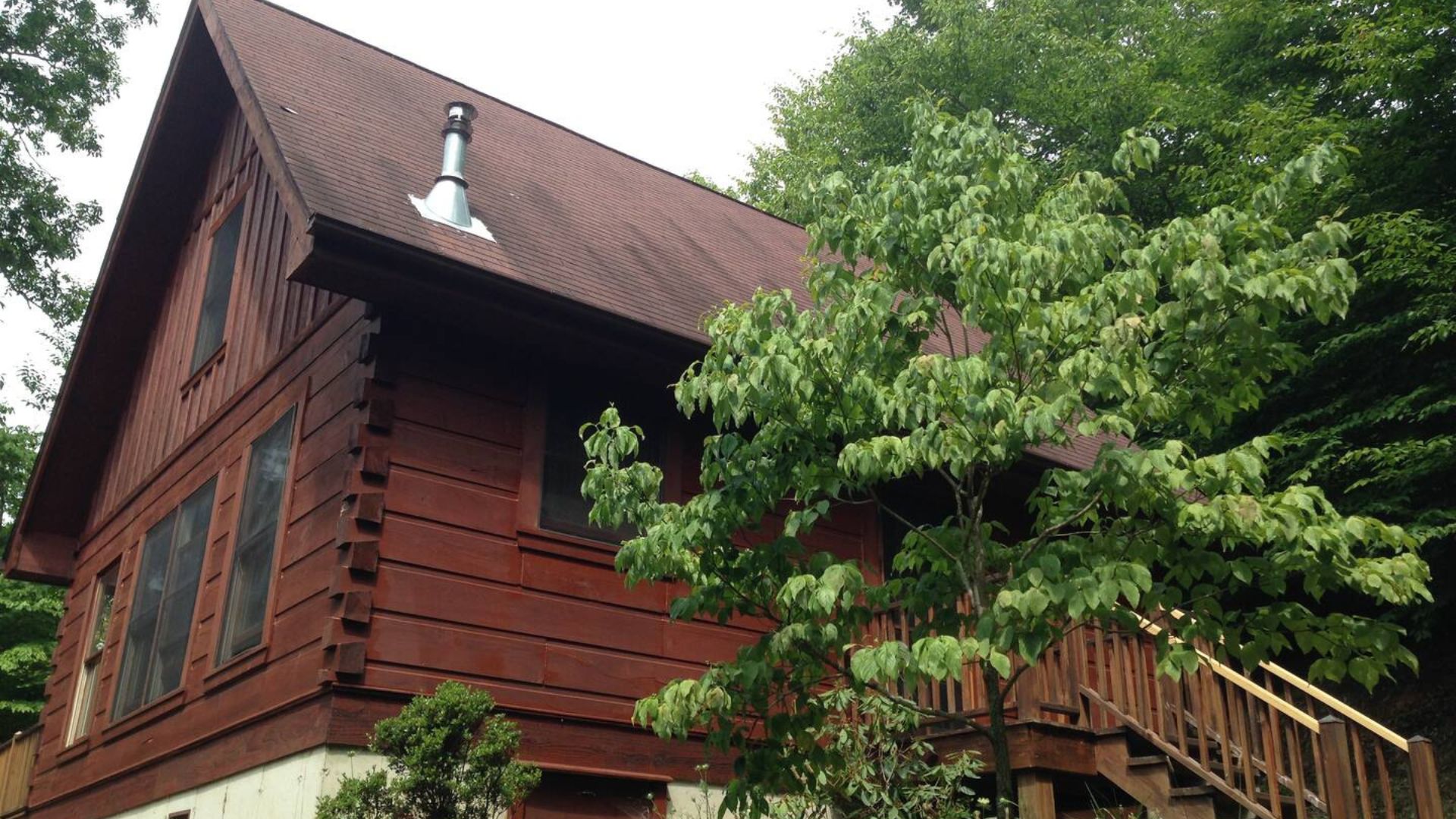 exterior of a brown cabin surrounded by greenery