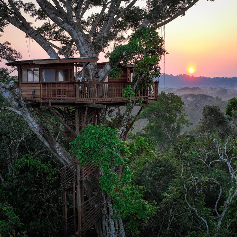 Amazon Rainforest Treehouse