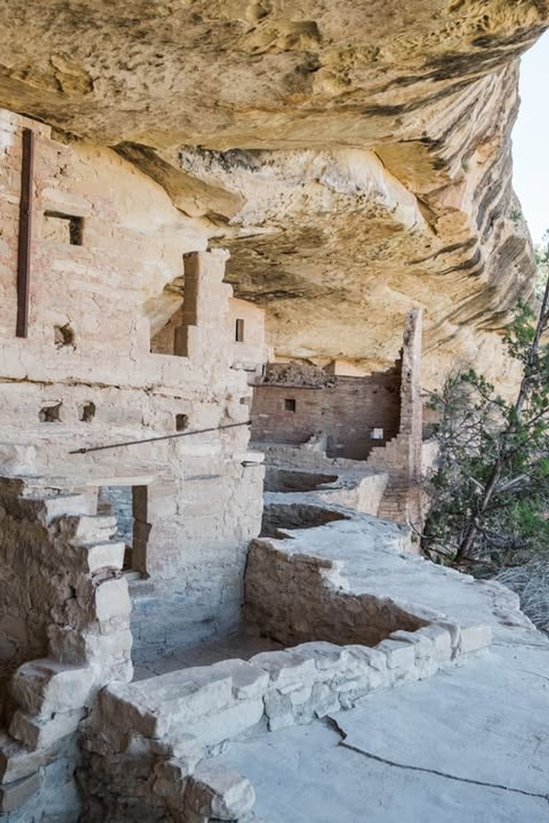 Ancestral Puebloan Cliff Dwellings