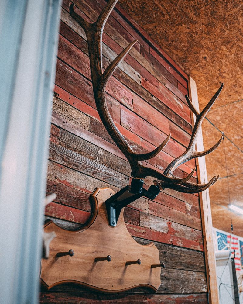 Antler Coat Rack