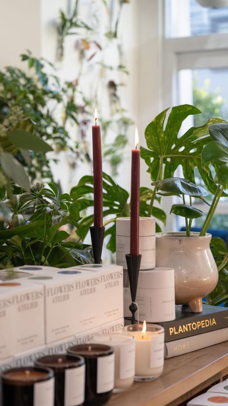 Avoid Using Houseplants