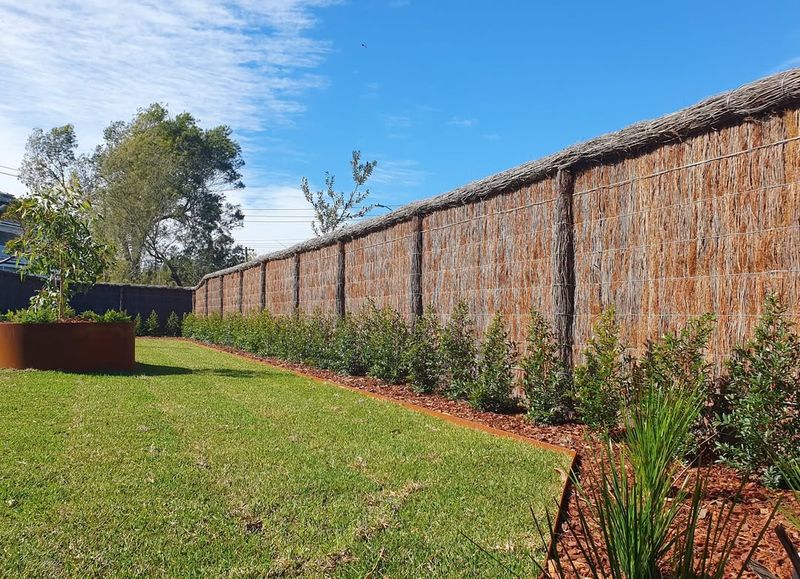 Brushwood Fence