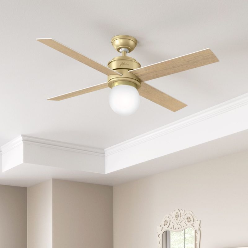 Ceiling Fans with Lights