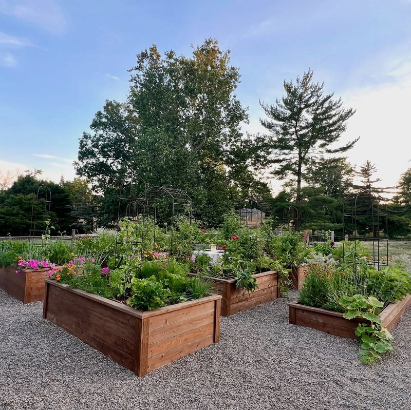 Charming Vegetable Garden