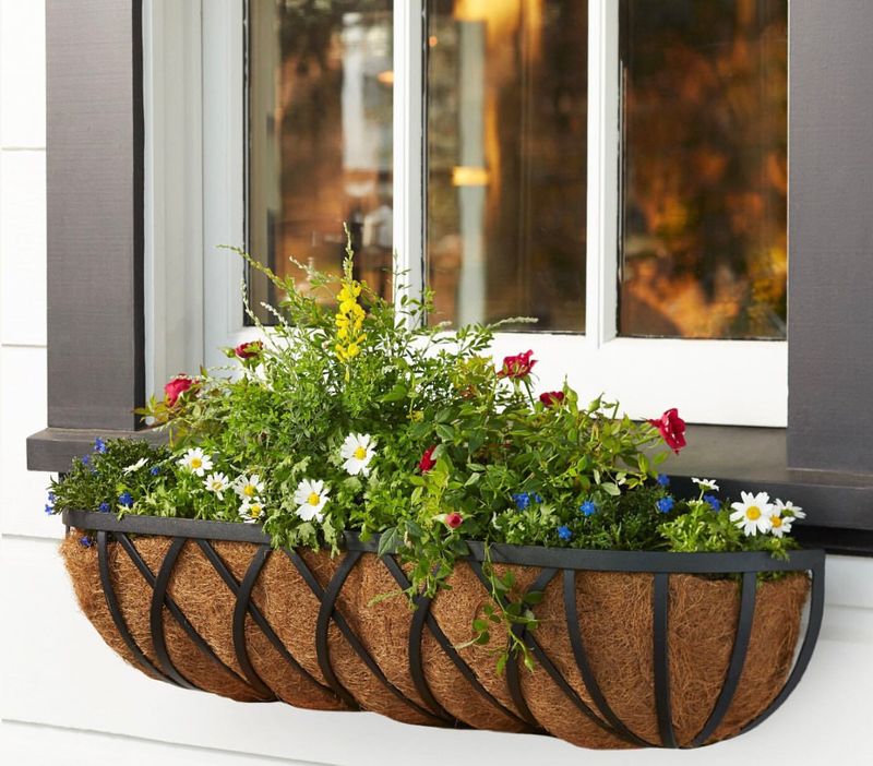 Charming Window Boxes