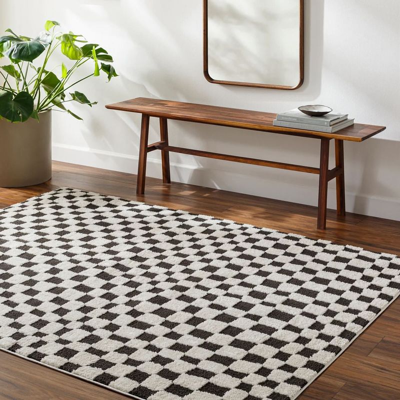 Checkered Area Rugs