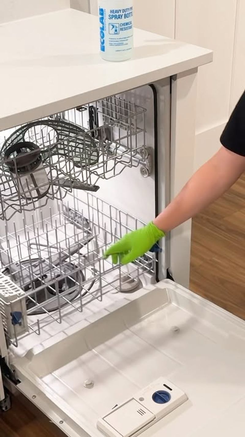 Cleaning the Dishwasher