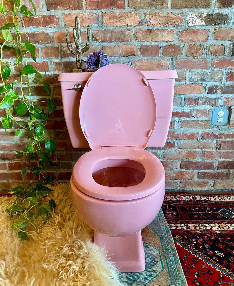 Colored Toilet Seats