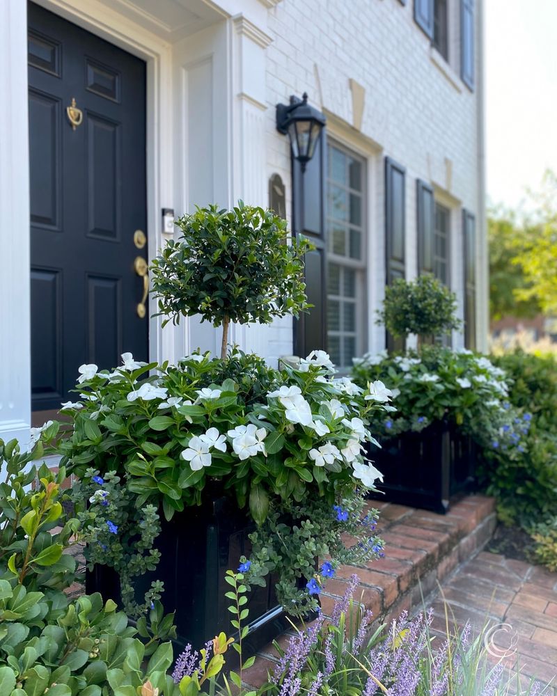 Container Gardens