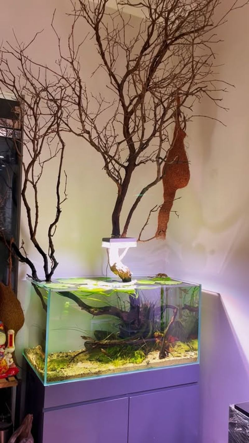 Corner Aquarium