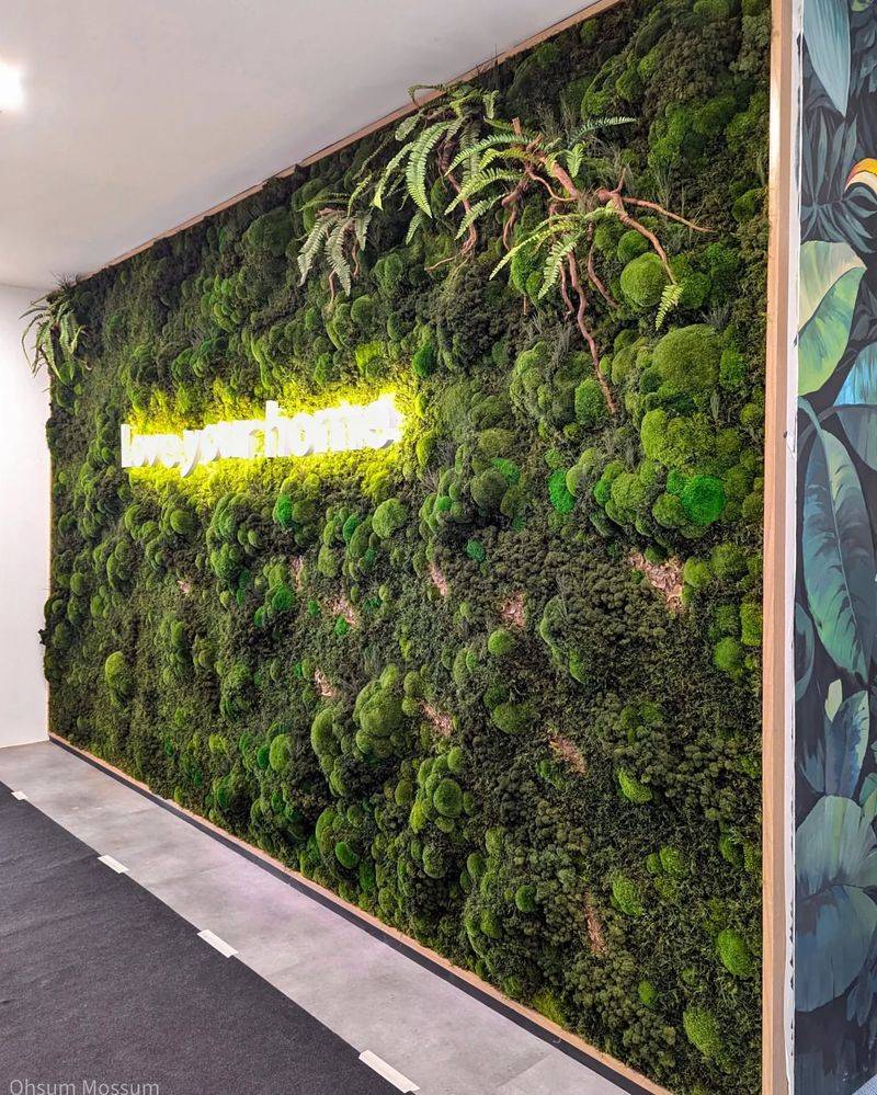 Create a Feature Wall with Vertical Gardens