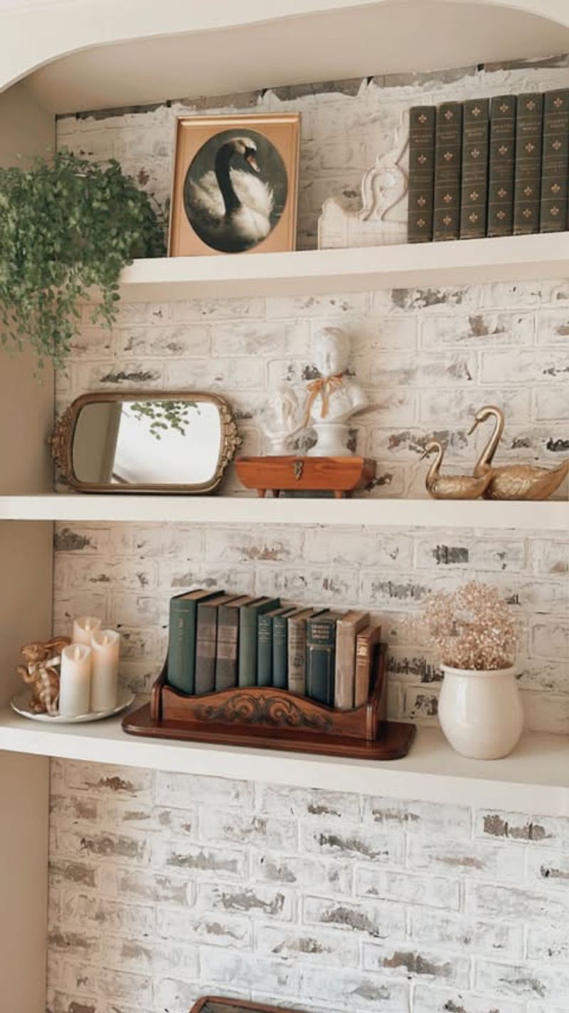 Decorative Book Shelves