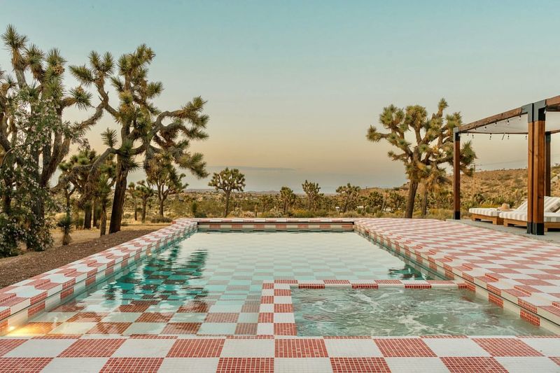 Desert Oasis Pool with Cactus Garden