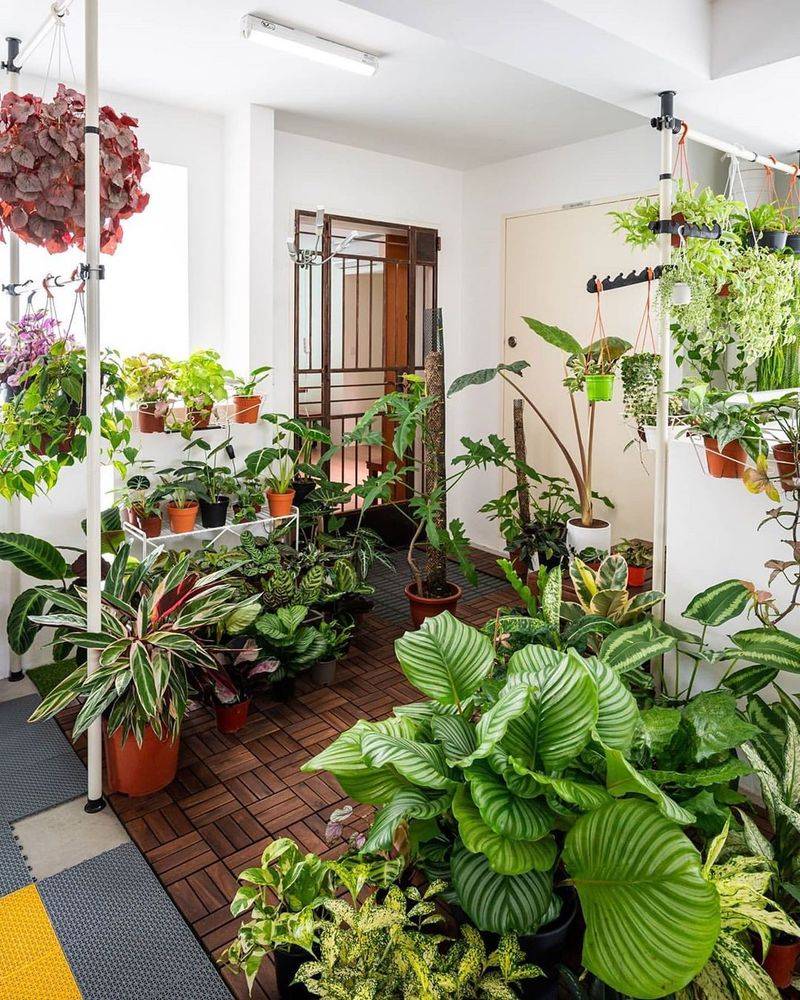 Develop an Indoor Garden Room