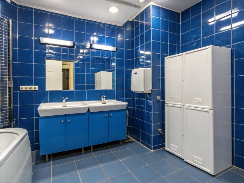 Electric Blue bathroom