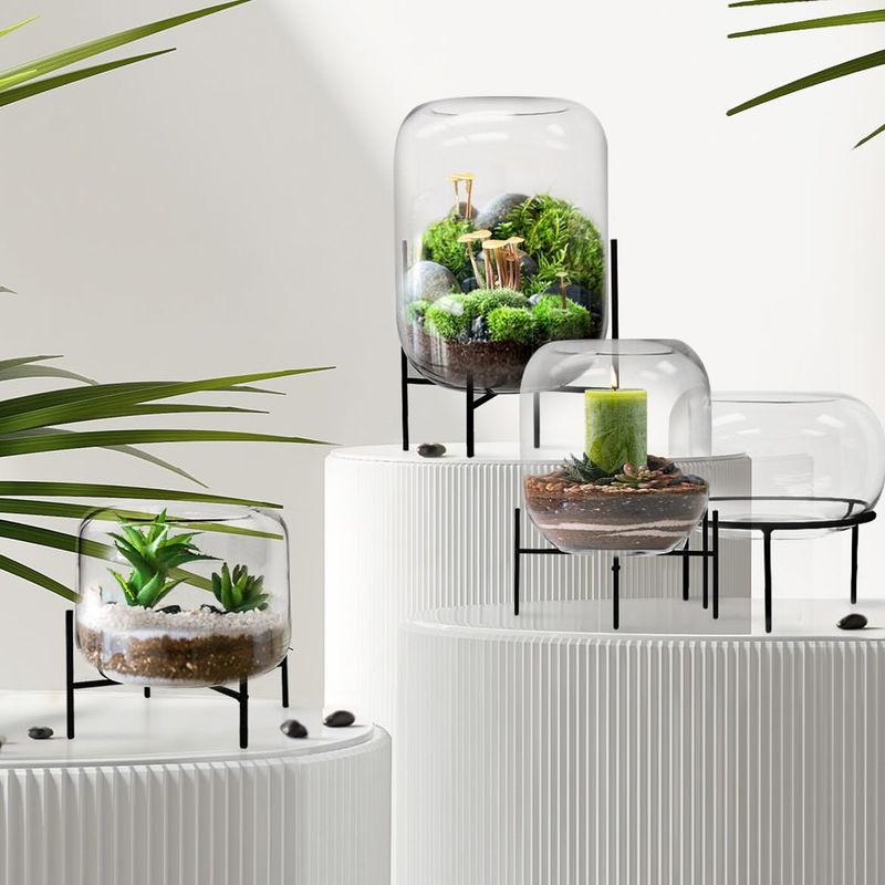 Elegant Glass Terrarium