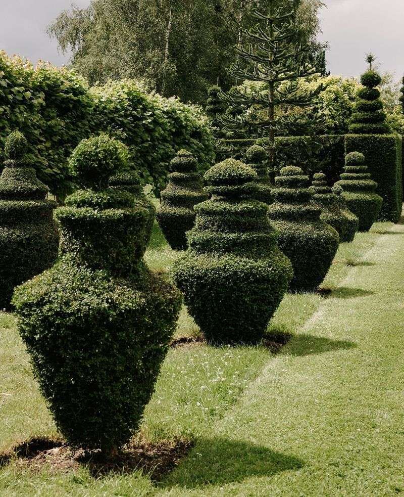 Elegant Topiary Garden