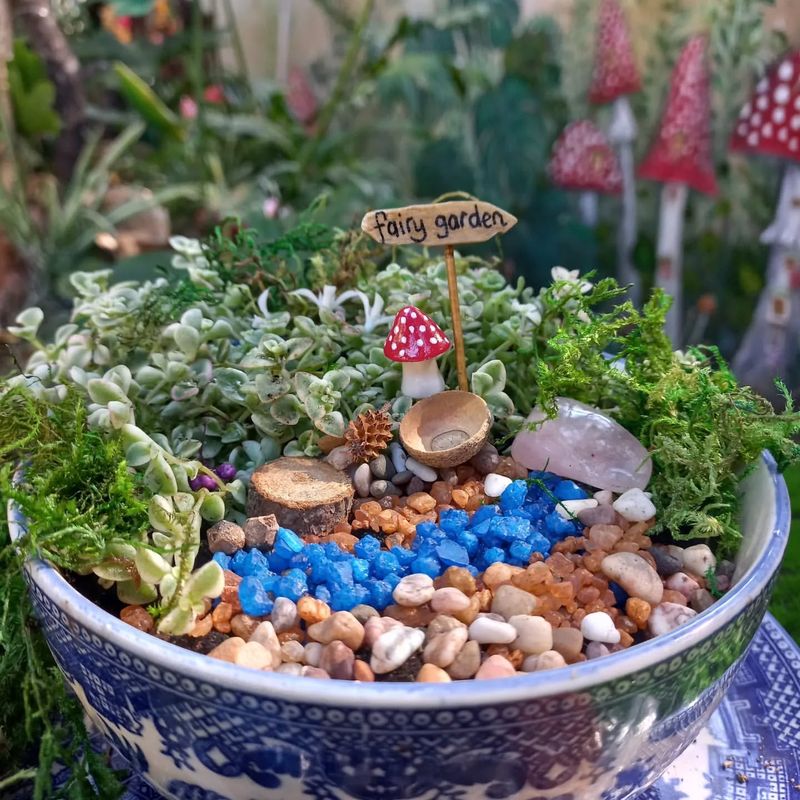 Fairy Garden