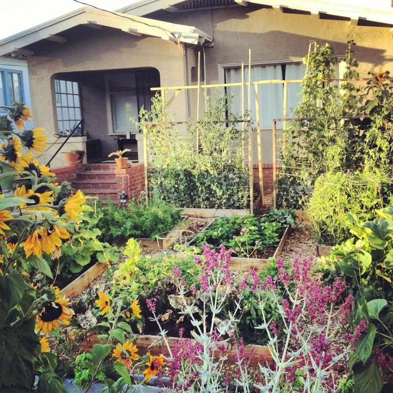 Front Yard Vegetable Gardens