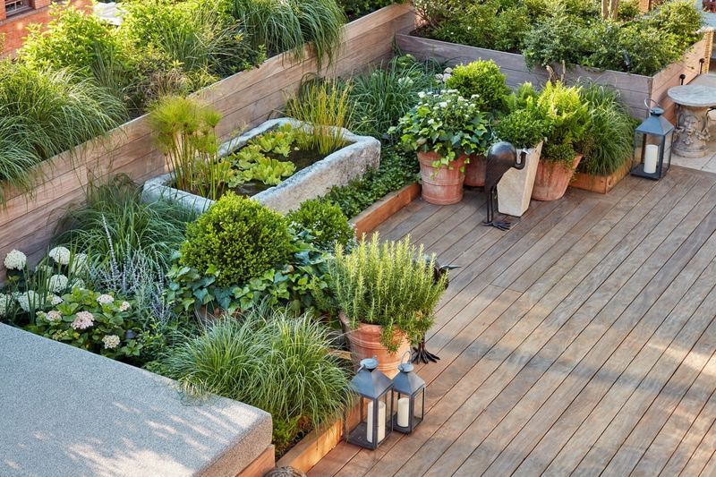 Garden Green Roof