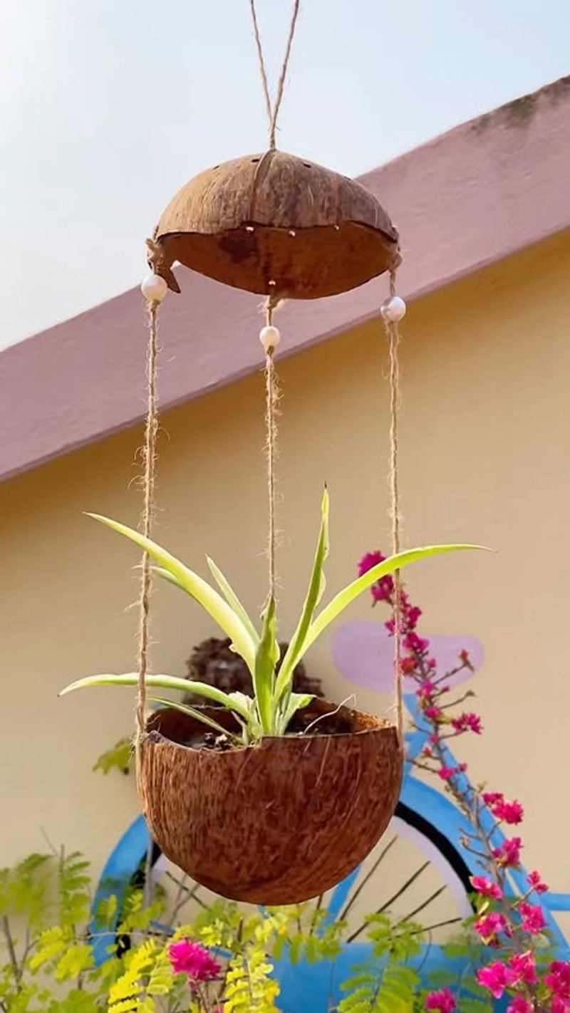 Hanging Planters