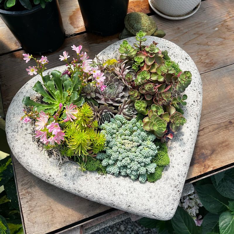 Heart-Shaped Planter