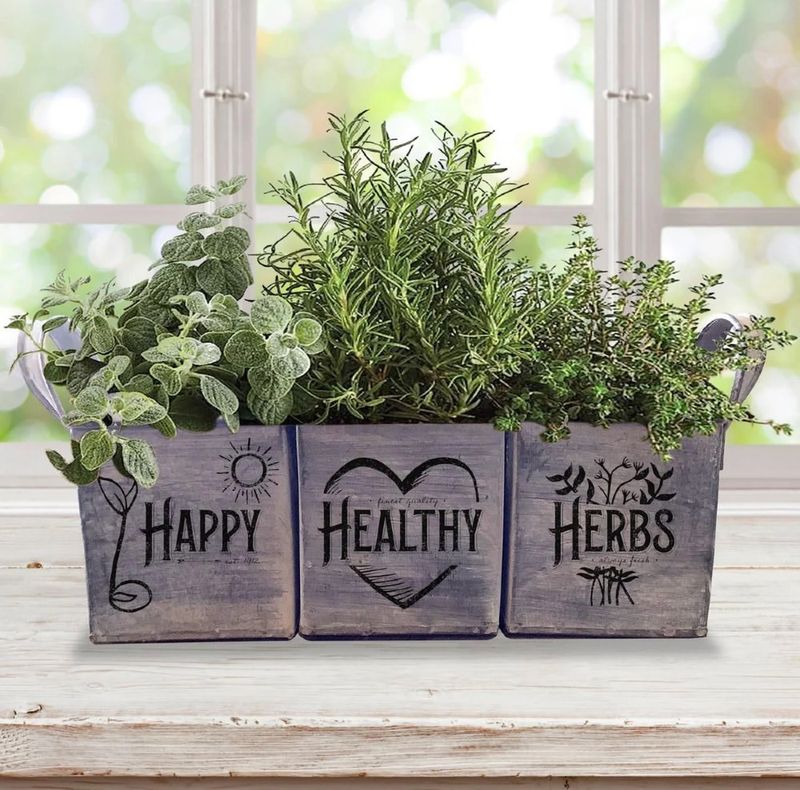 Herb Garden Window Box