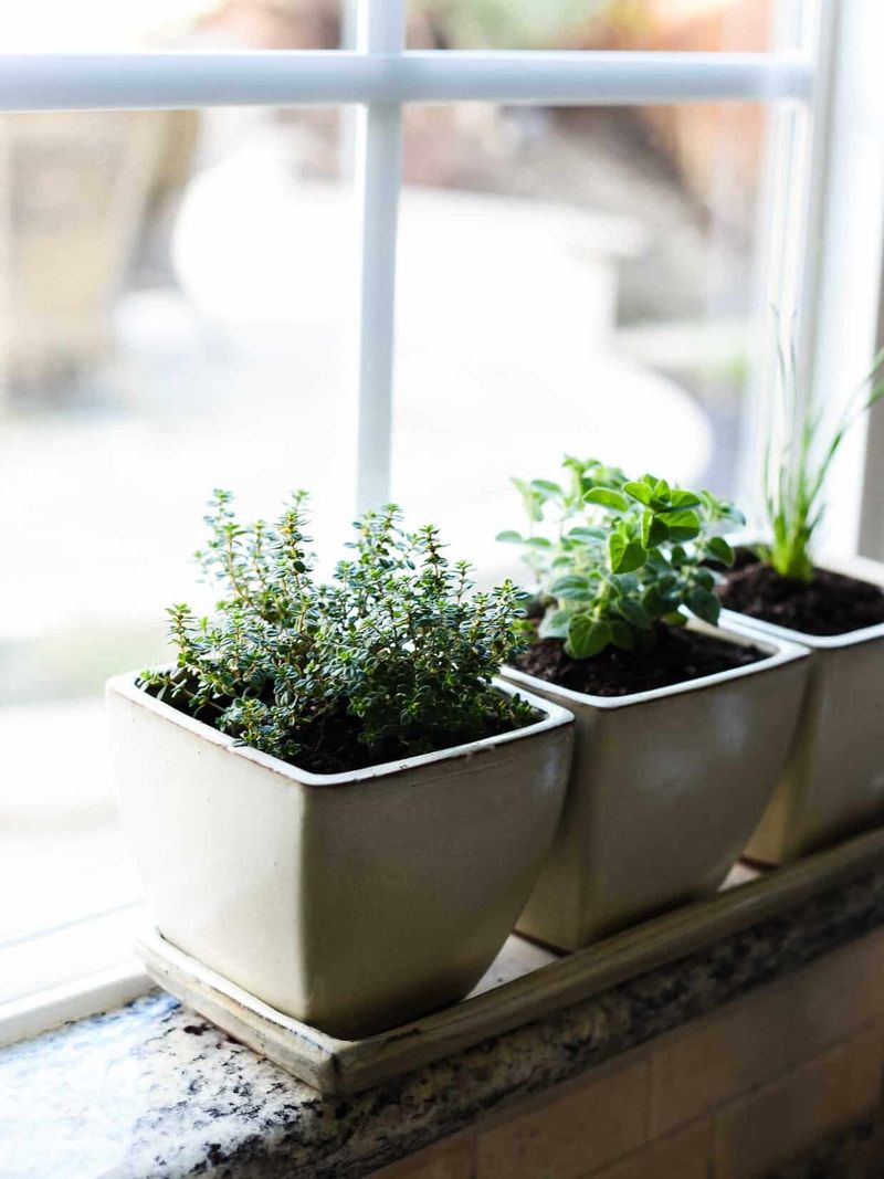 Herb Garden Window