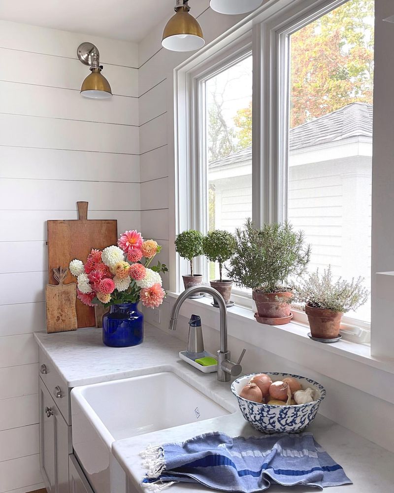 Herb Garden Windowsill