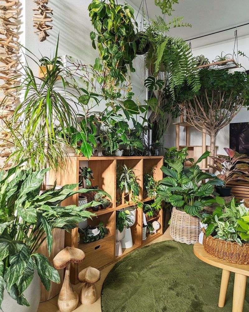 Indoor Garden