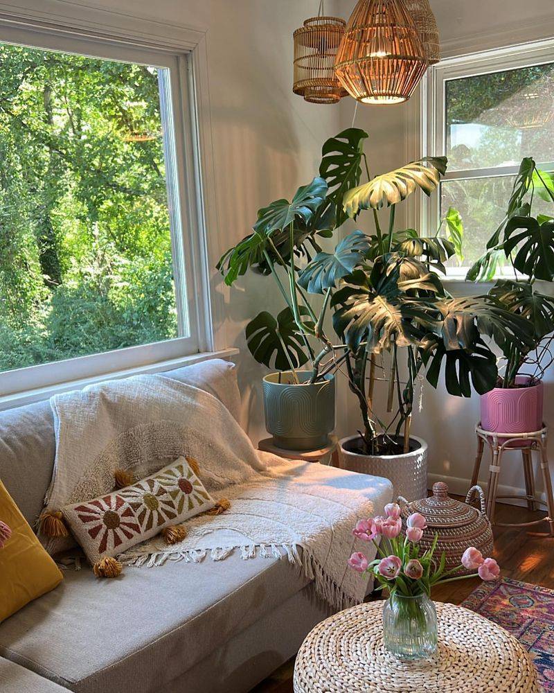 Indoor Plant Haven