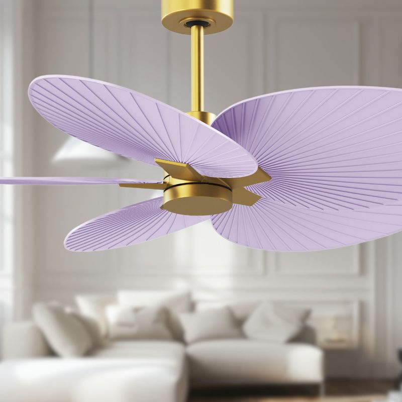 Install Ceiling Fans