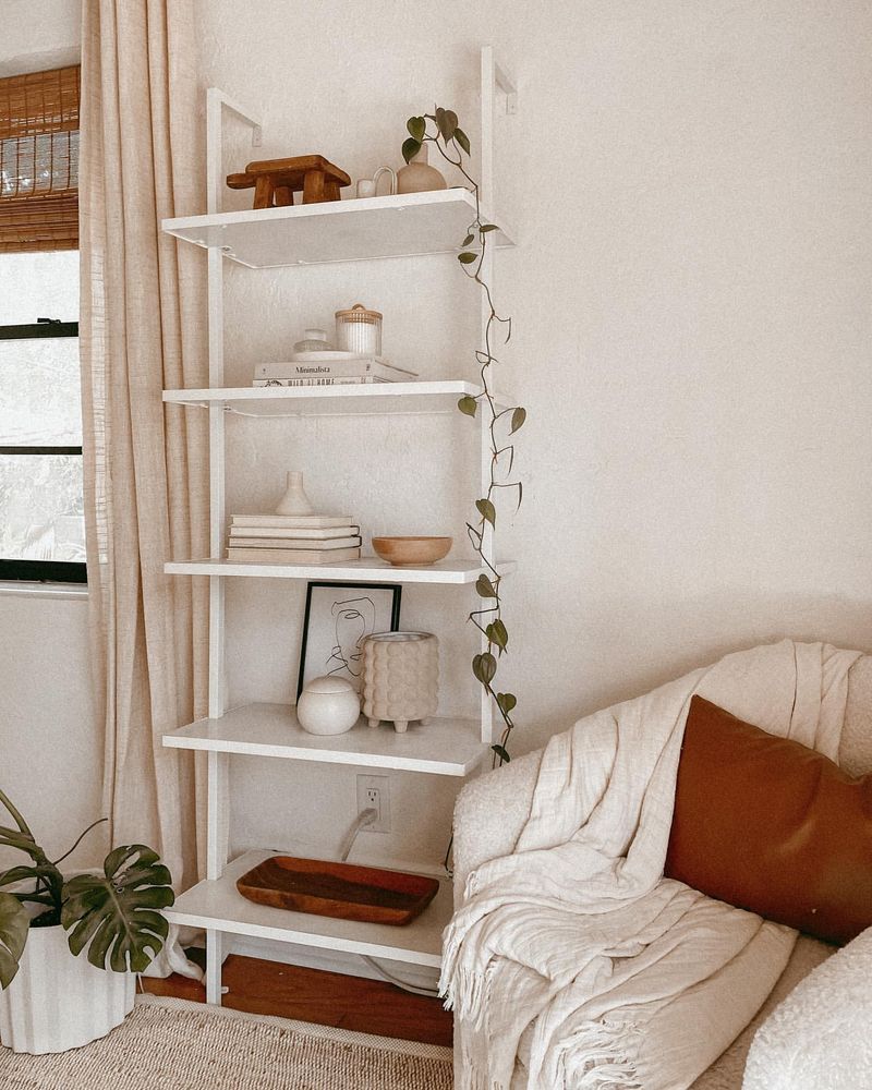 Ladder Decor