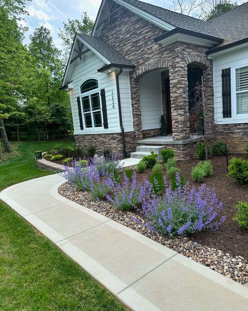 Lavender Lined Walkway