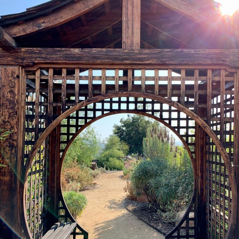 Meditative Yoga Arch