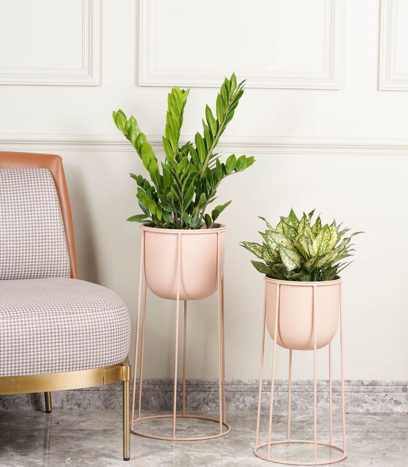 Millennial Pink Plant Stand