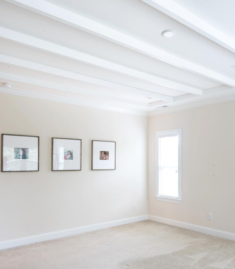 Myth 16: Ceilings Should Always Be White