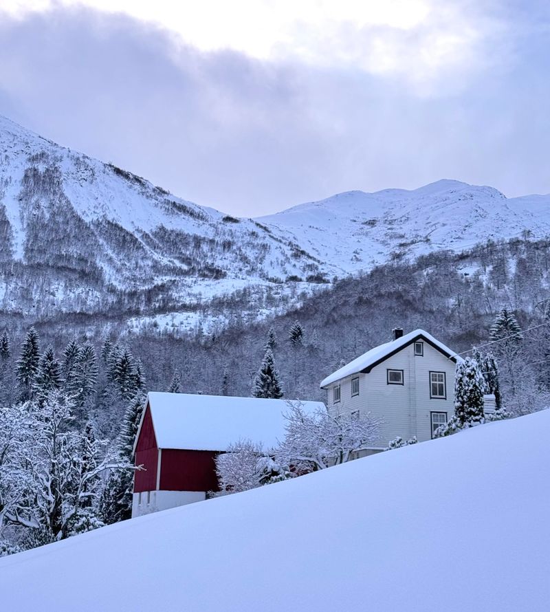 Norwegian Fjord House